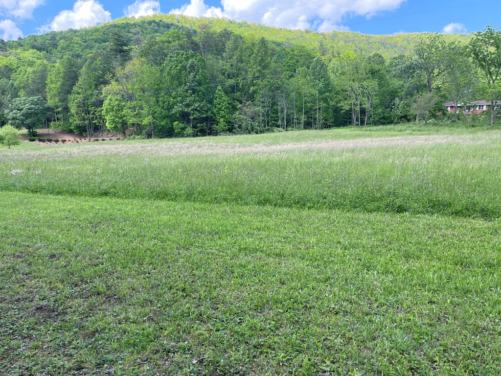 155 Cedar Cliff Lane Property Photo 20