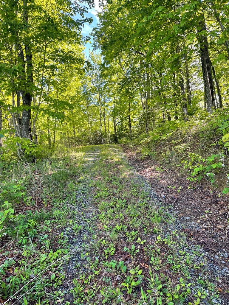 Lot 22 Laramie Heights Property Photo 8