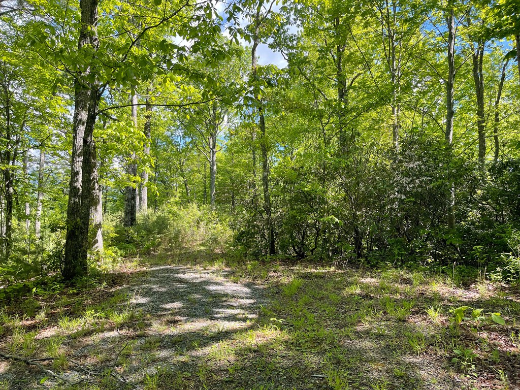 Lot 22 Laramie Heights Property Photo 10