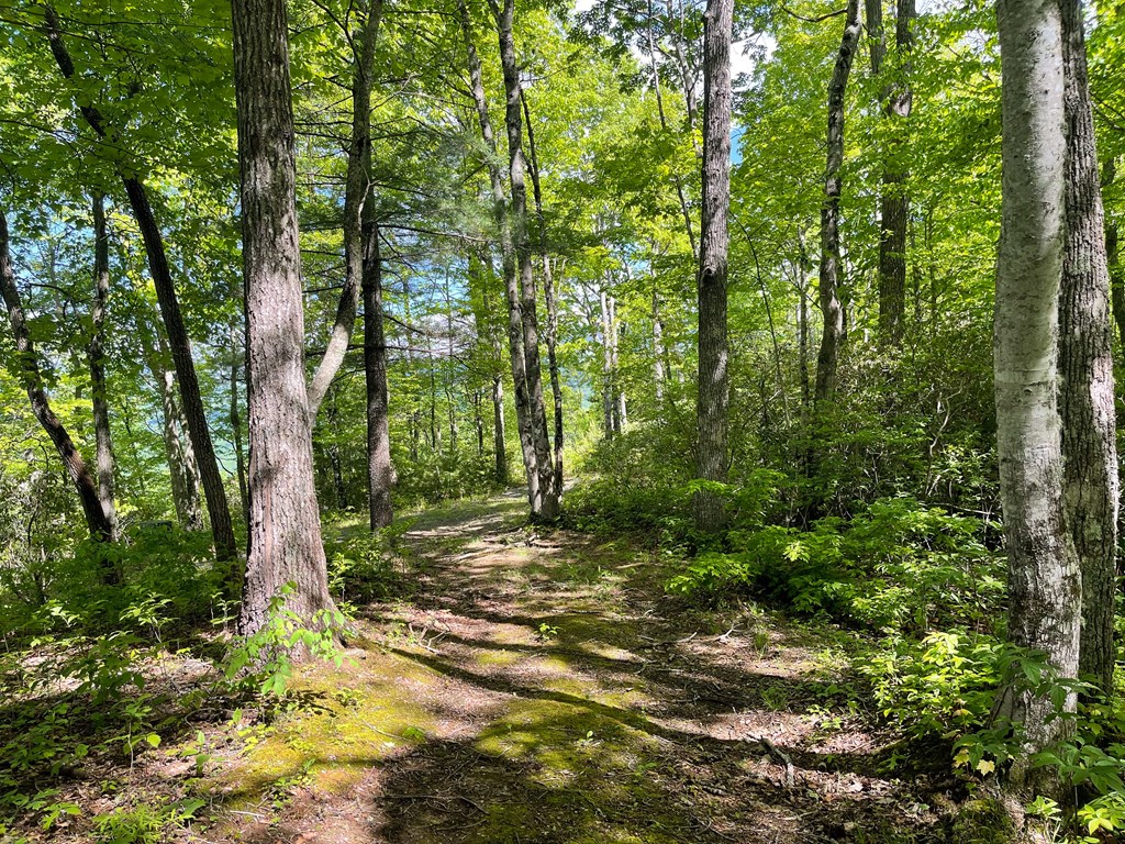 Lot 22 Laramie Heights Property Photo 12
