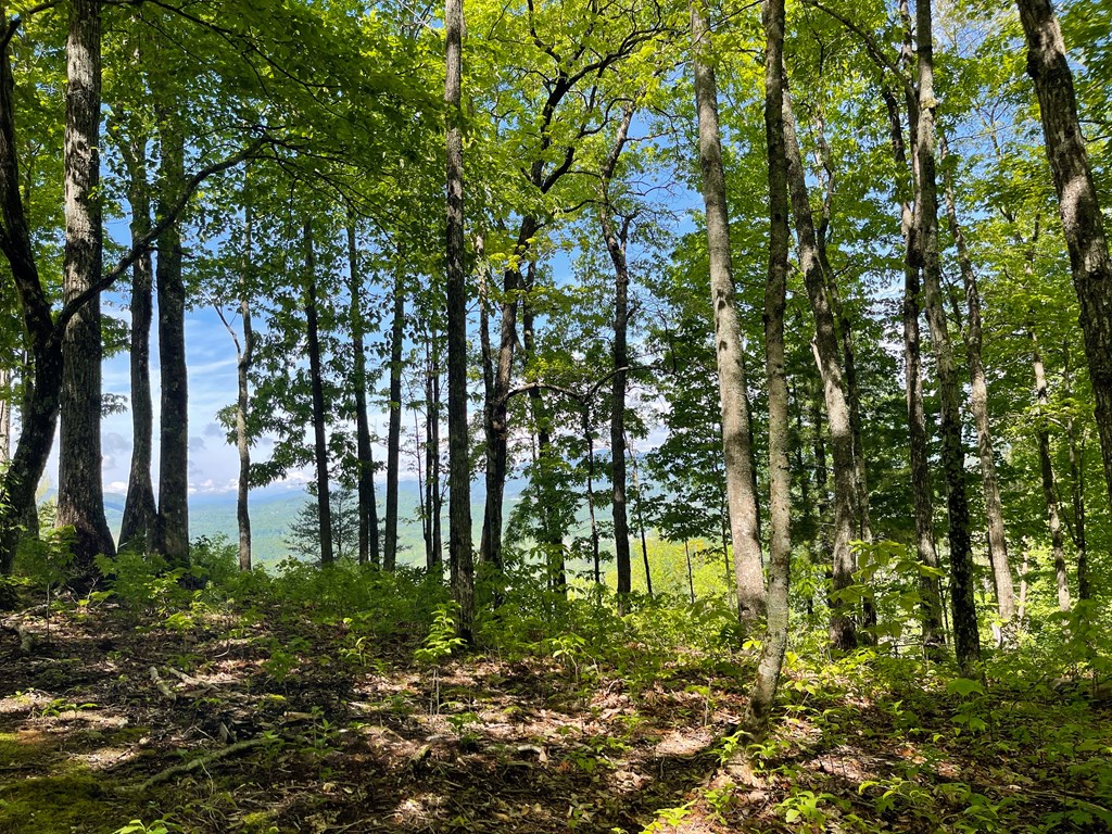 Lot 22 Laramie Heights Property Photo 13