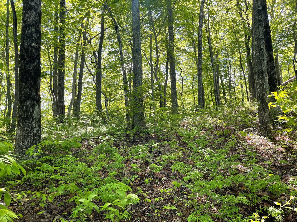 Lot 22 Laramie Heights Property Photo 14