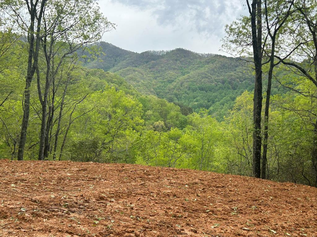 Lot 8 Blackberry Bend Property Photo 1