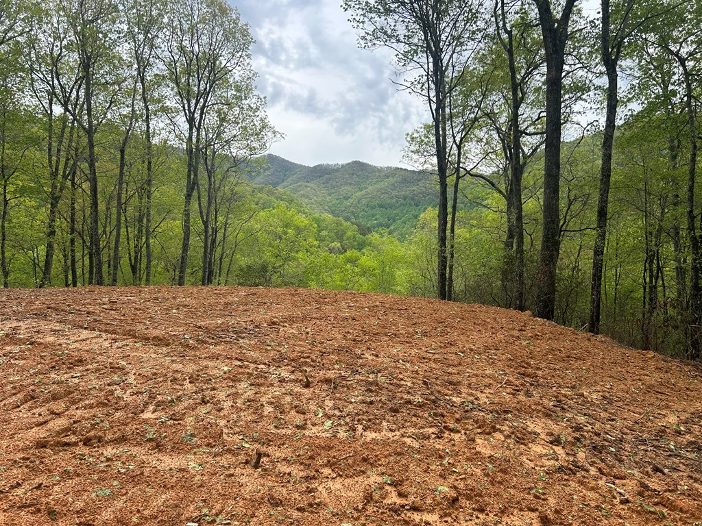 Lot 8 Blackberry Bend Property Photo 2