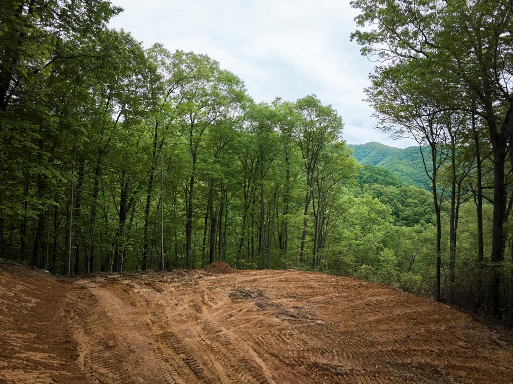 Lot 8 Blackberry Bend Property Photo 5