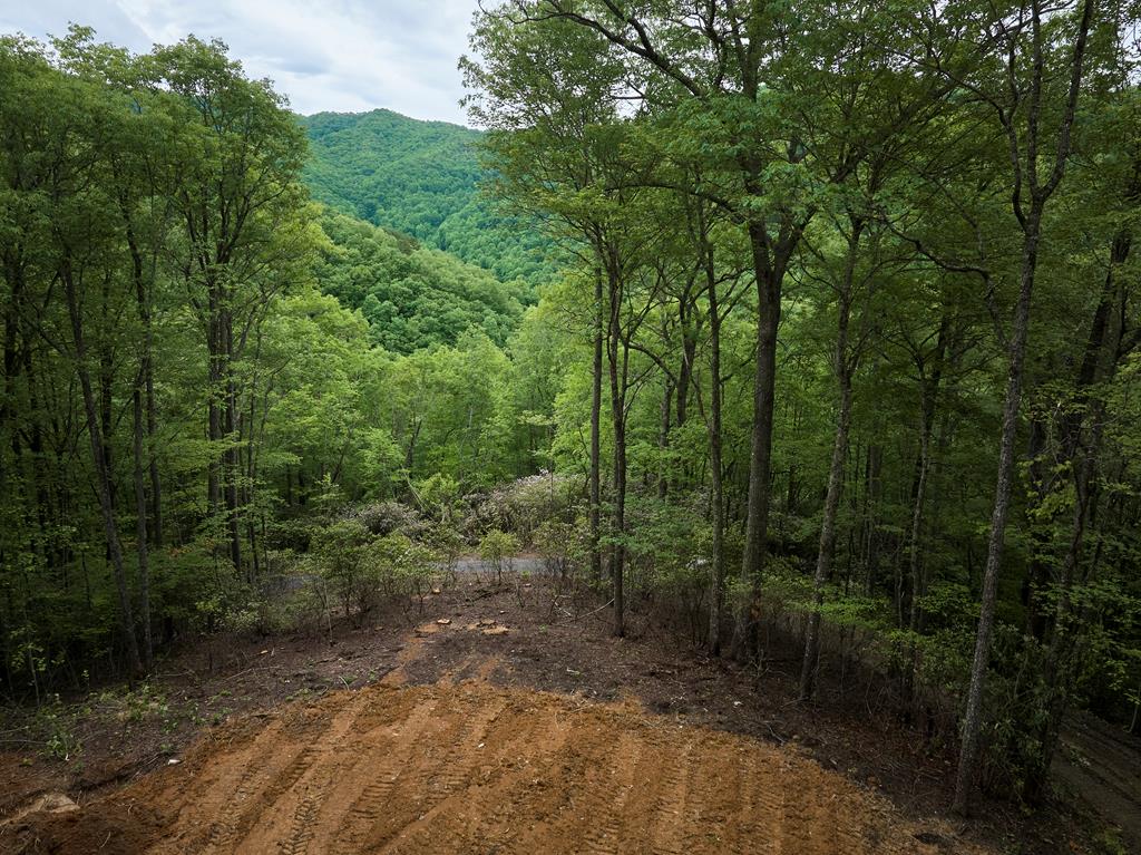 Lot 8 Blackberry Bend Property Photo 8