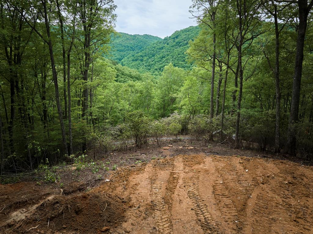 Lot 8 Blackberry Bend Property Photo 9