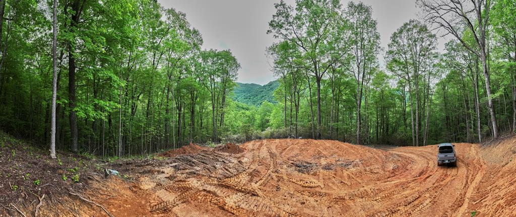 Lot 8 Blackberry Bend Property Photo 10