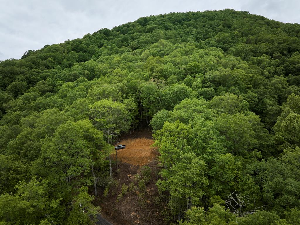 Lot 8 Blackberry Bend Property Photo 13