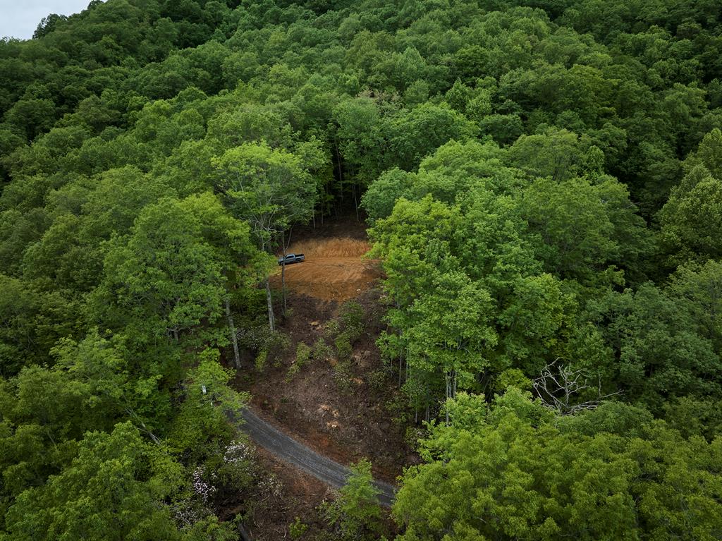 Lot 8 Blackberry Bend Property Photo 14