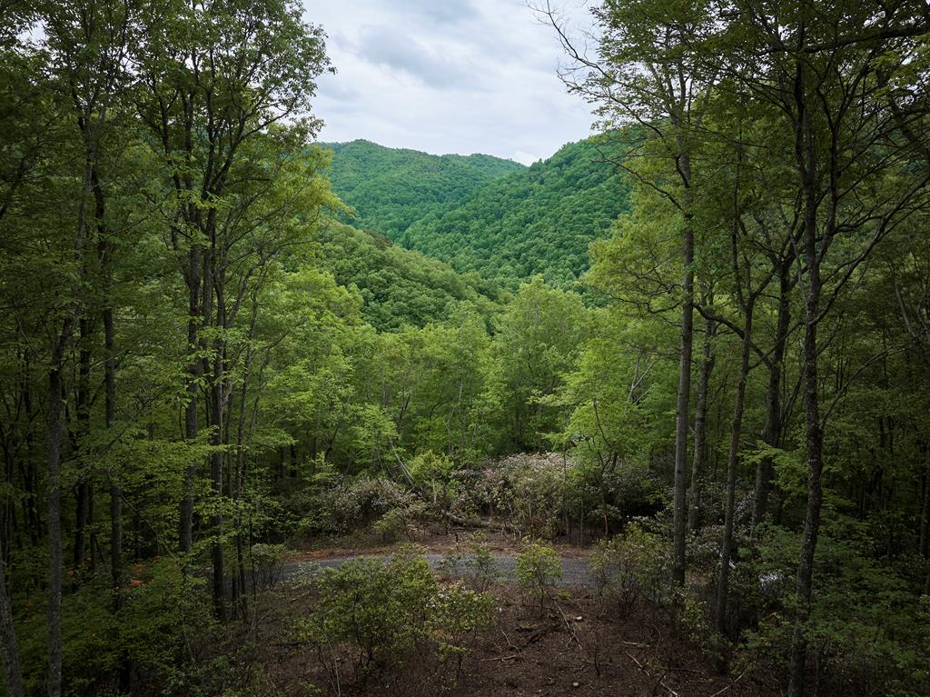 Lot 8 Blackberry Bend Property Photo 17