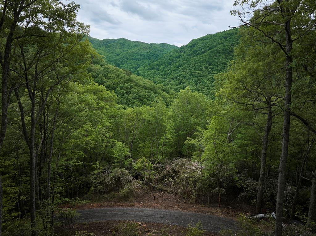 Lot 8 Blackberry Bend Property Photo 18