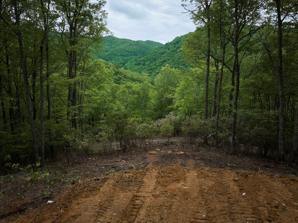 Lot 8 Blackberry Bend Property Photo 19