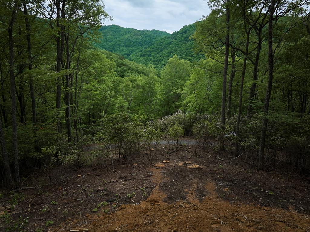 Lot 8 Blackberry Bend Property Photo 20