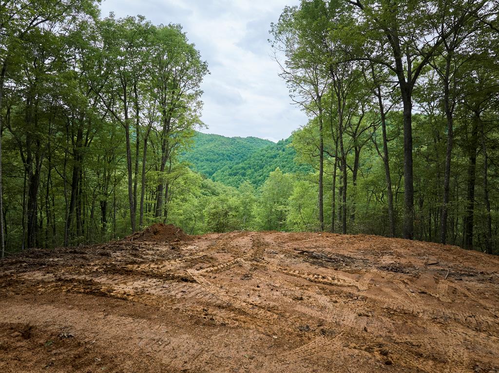Lot 8 Blackberry Bend Property Photo 22