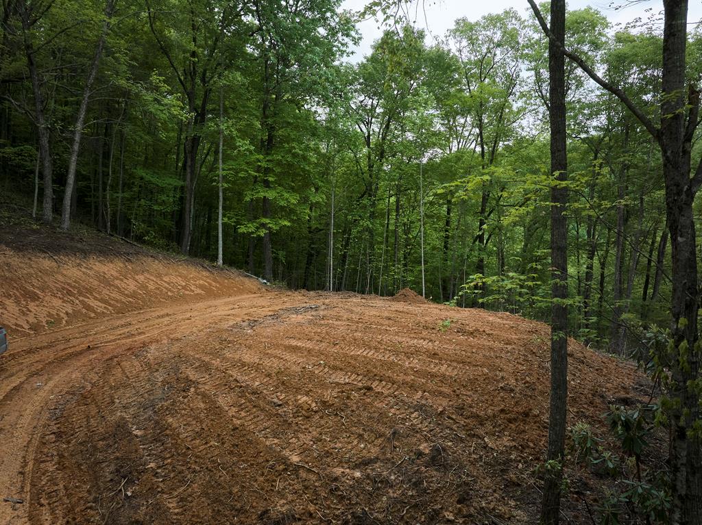 Lot 8 Blackberry Bend Property Photo 23
