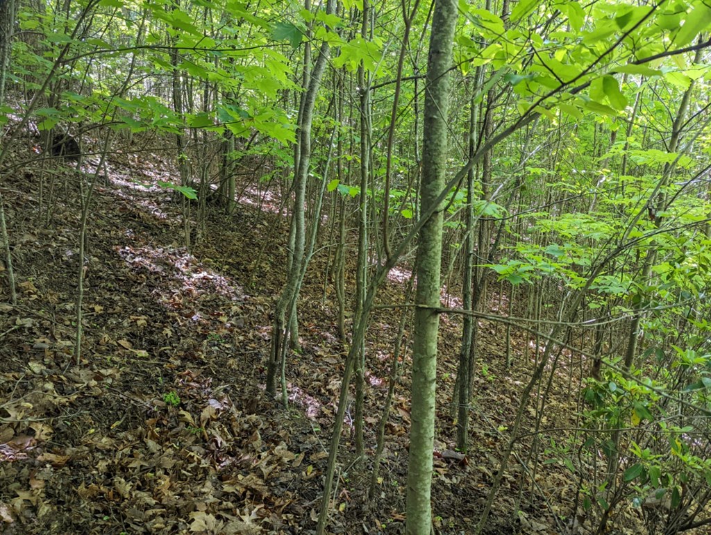 Tbd Heritage Trail Property Photo 4
