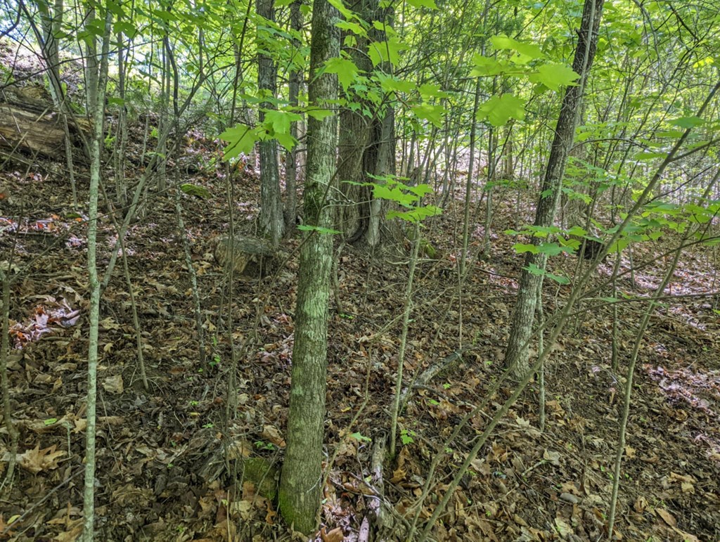 Tbd Heritage Trail Property Photo 9