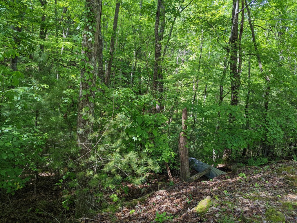 Tbd Heritage Trail Property Photo 4