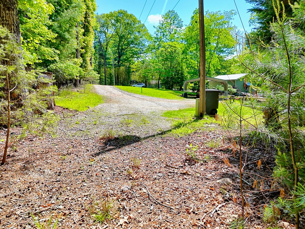 Lot 25 Davis Lane Property Photo 5
