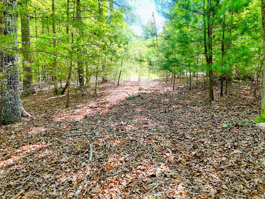 Lot 25 Davis Lane Property Photo 6