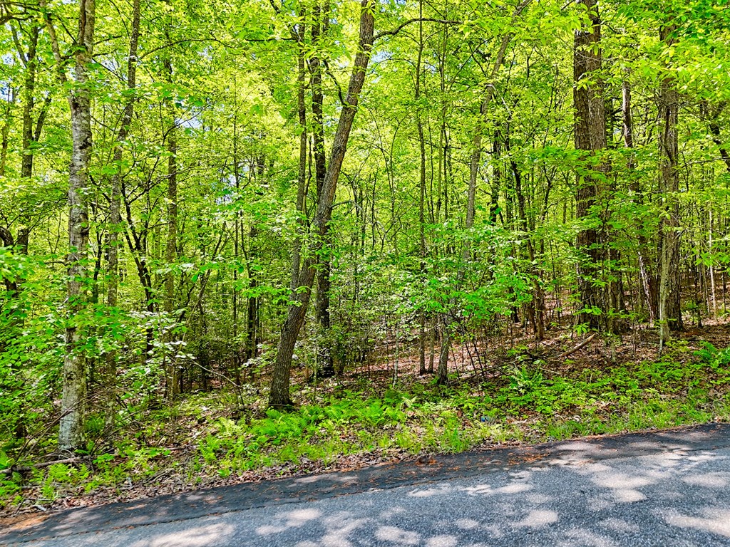 Lots 3&5 Cozy Cove Road Property Photo 3
