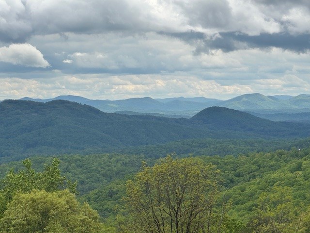 Lot 119 Outlook Road Property Photo 3