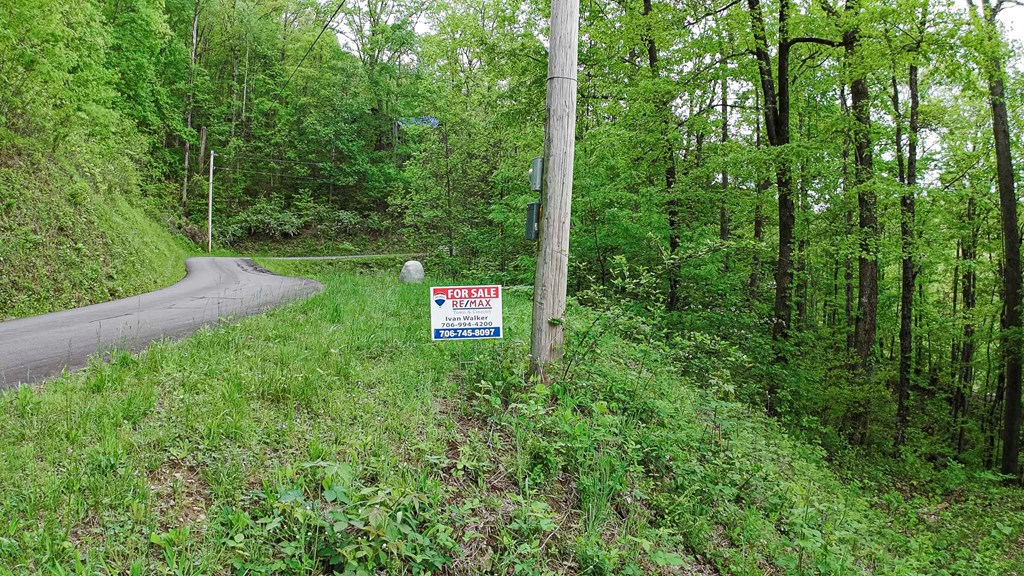 Lot 119 Outlook Road Property Photo 4
