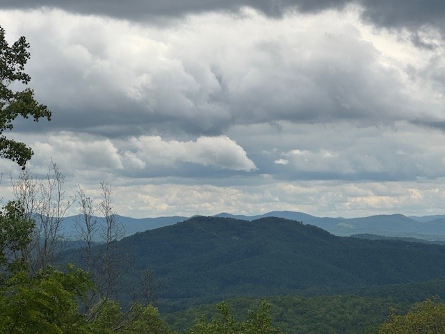 Lot 119 Outlook Road Property Photo 6