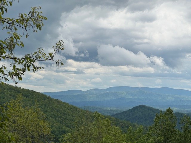 Lot 119 Outlook Road Property Photo 8