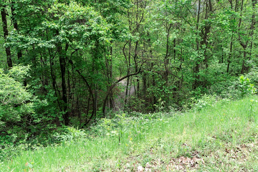 Lot 119 Outlook Road Property Photo 21