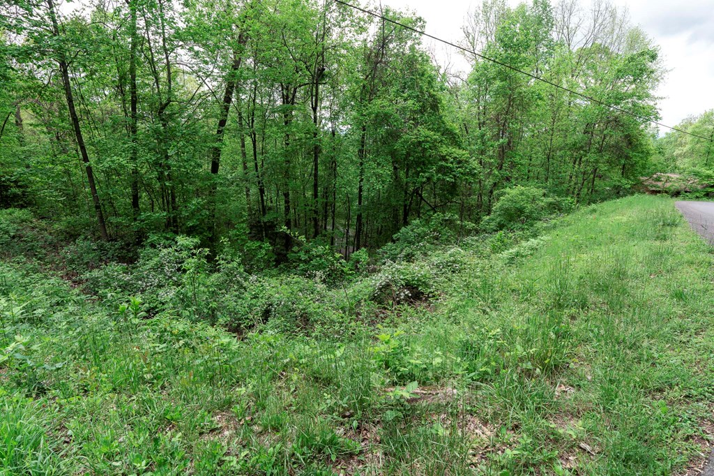 Lot 119 Outlook Road Property Photo 22