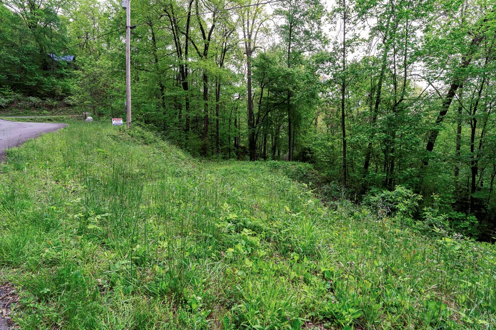 Lot 119 Outlook Road Property Photo 23