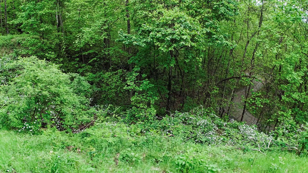 Lot 119 Outlook Road Property Photo 24