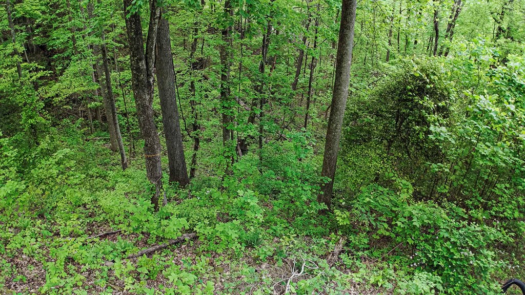Lot 119 Outlook Road Property Photo 25