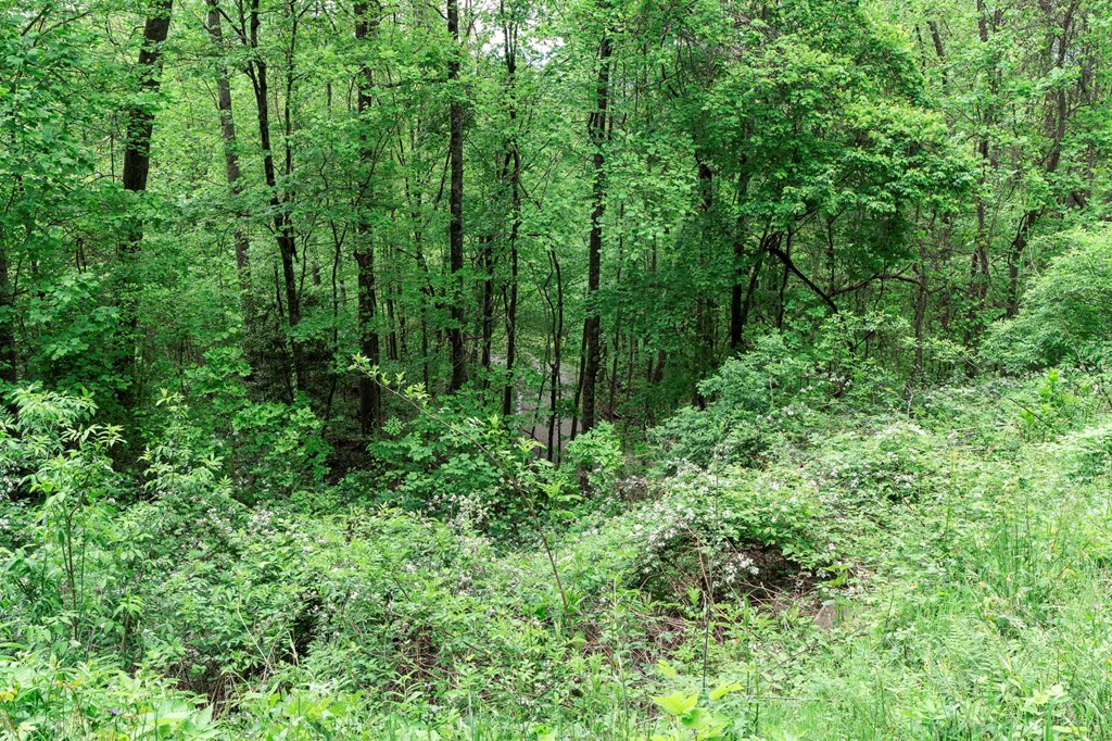 Lot 119 Outlook Road Property Photo 26