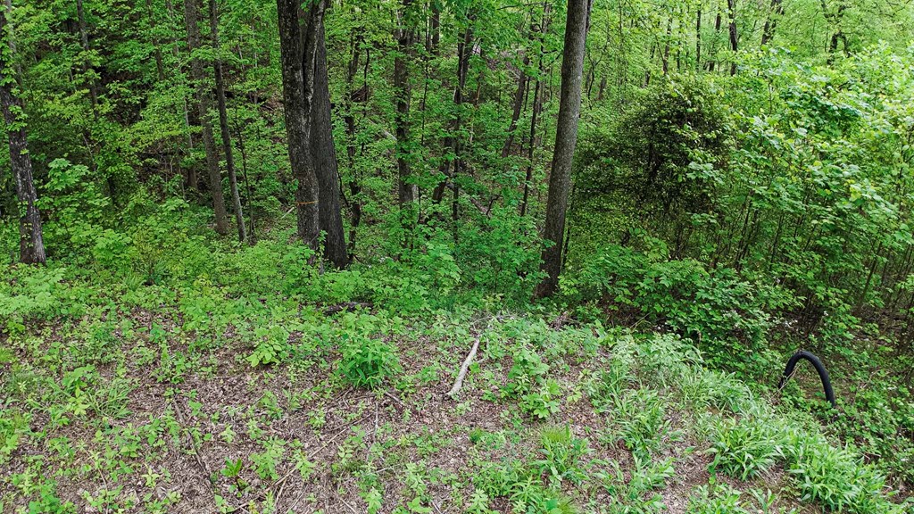 Lot 119 Outlook Road Property Photo 27