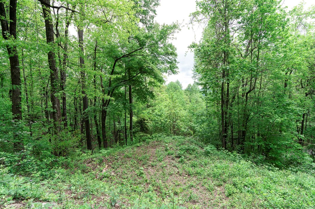 Lot 119 Outlook Road Property Photo 28