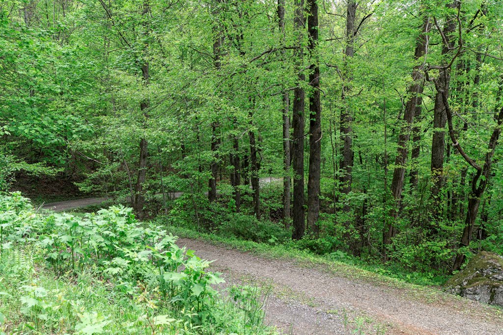 Lot 119 Outlook Road Property Photo 29