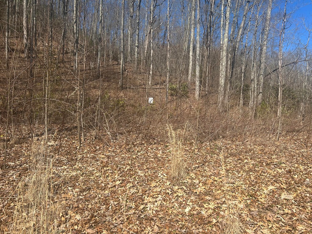 Lot 94 Towalgia Dr Property Photo 2