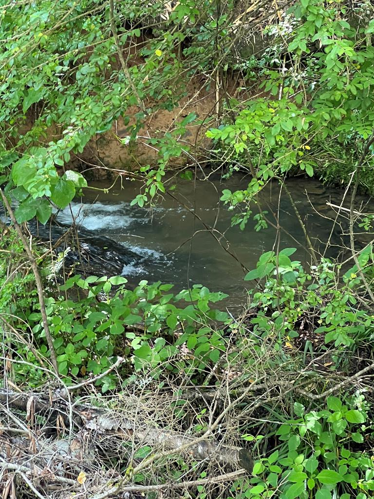 39 Acres Hiwassee Dam Access Road Property Photo 1