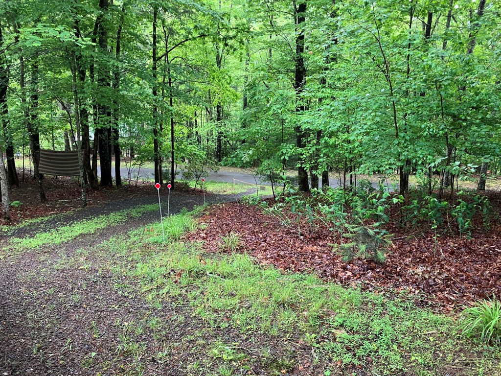54 Bumblebee Ln Property Photo 21