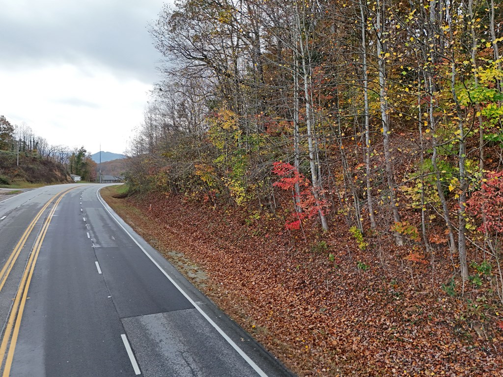 1.6 Ac Highway 76 Property Photo 4