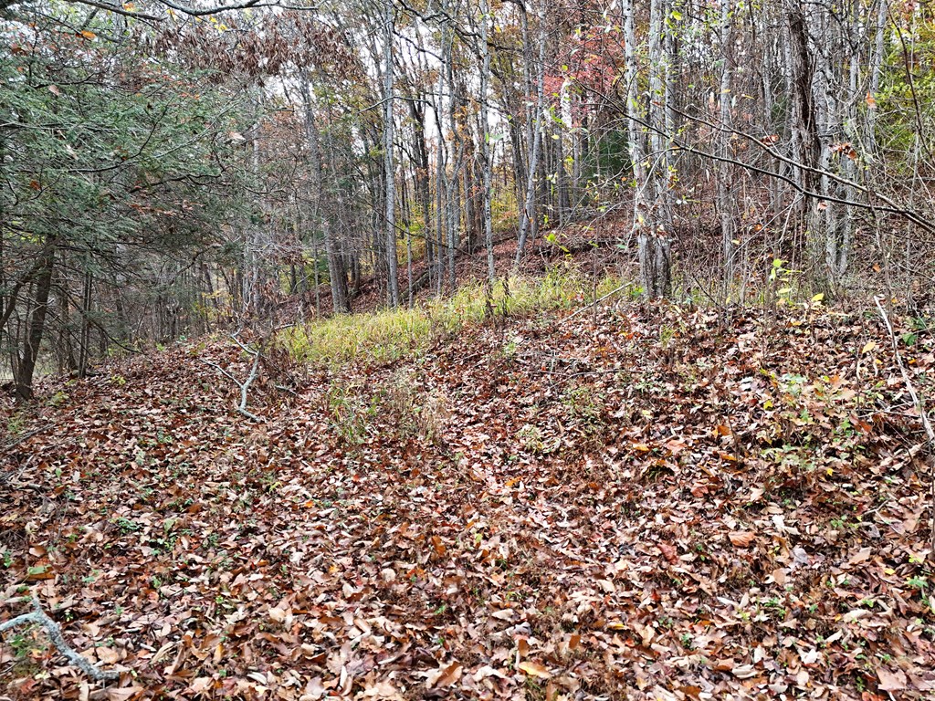 1.6 Ac Highway 76 Property Photo 9