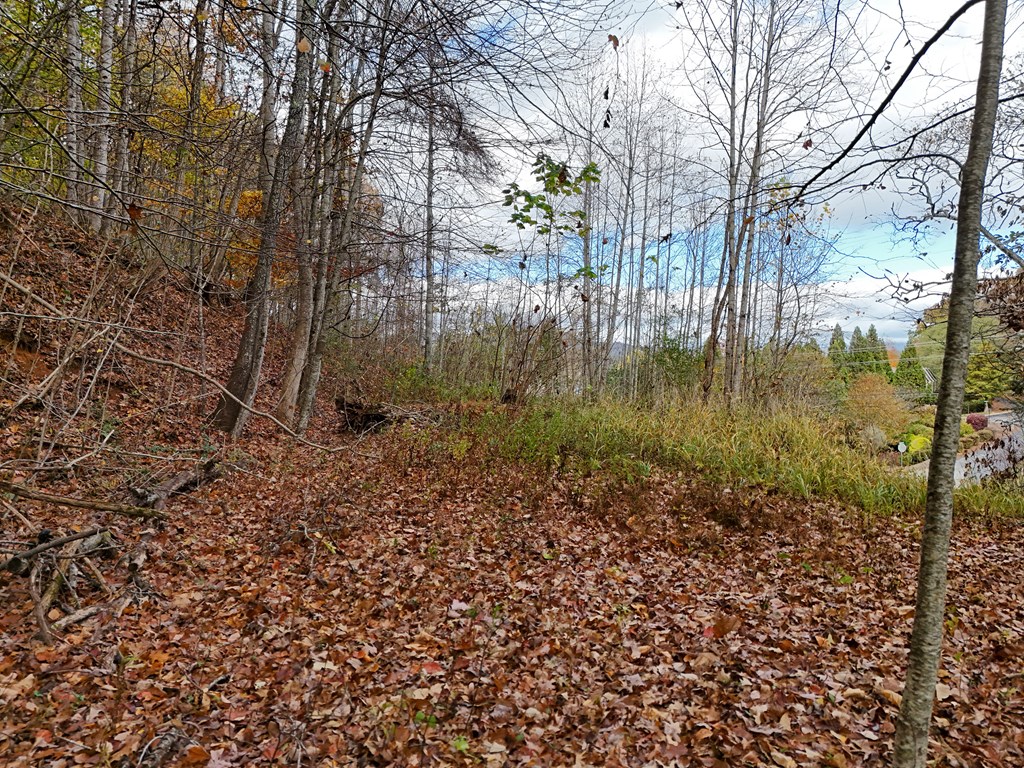 1.6 Ac Highway 76 Property Photo 11