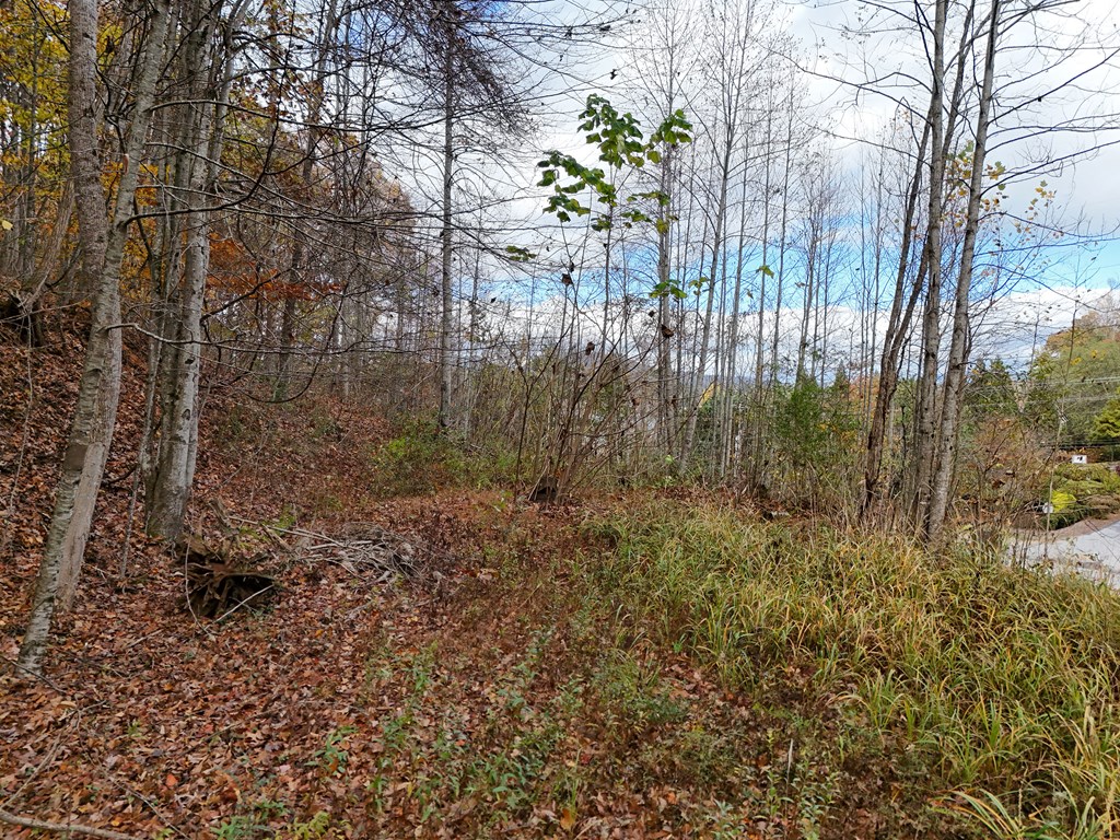 1.6 Ac Highway 76 Property Photo 12