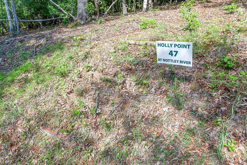 46/47 Holly Point Dr Property Photo 10