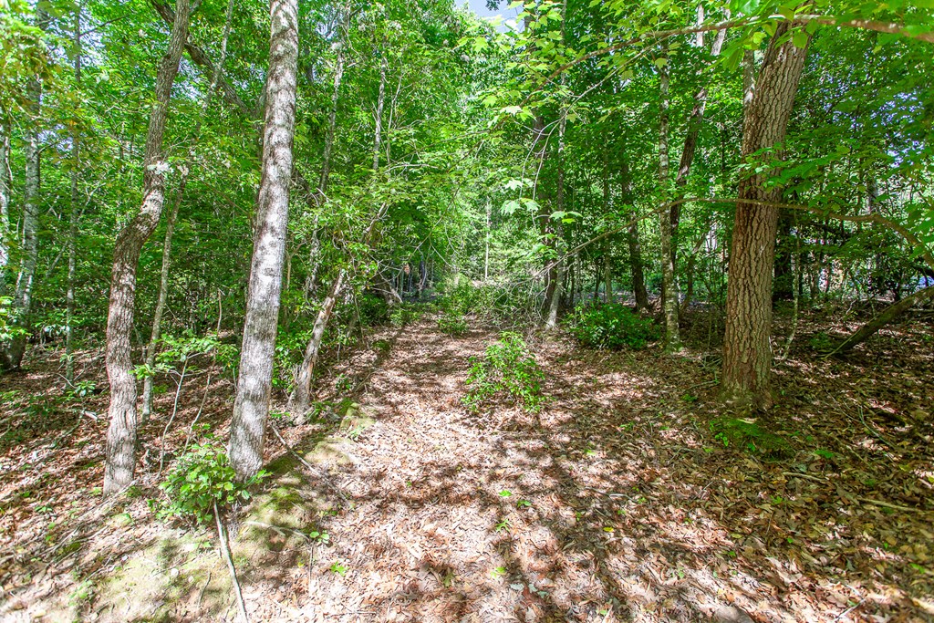 46/47 Holly Point Dr Property Photo 11