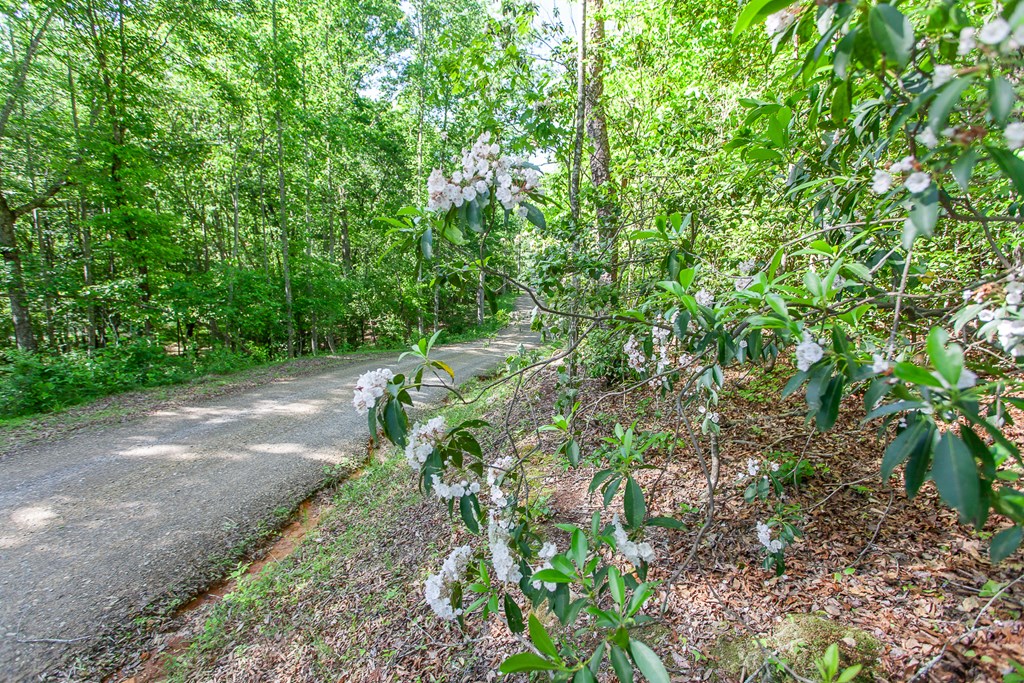 46/47 Holly Point Dr Property Photo 13