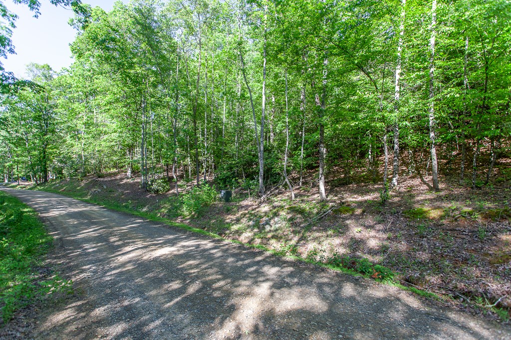 46/47 Holly Point Dr Property Photo 14